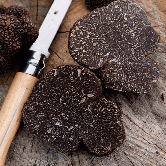 Purè Di Tartufo Nero - Terre di Narnia