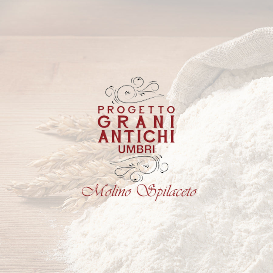 Pasta grani antichi Manfricoli - Terre di Narnia