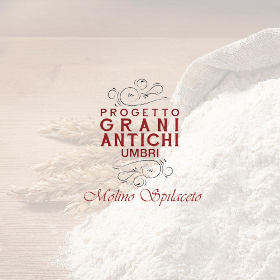 Pasta grani antichi Fettucce - Terre di Narnia