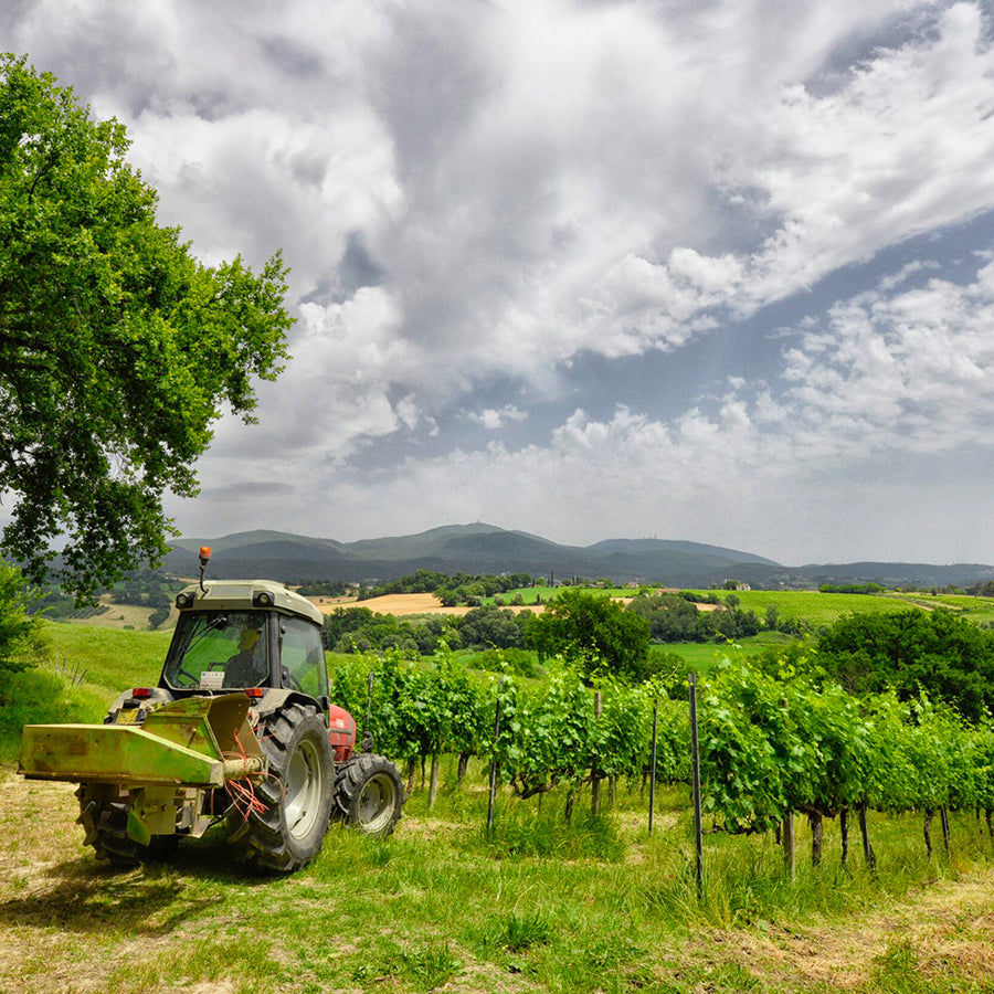 1974 Rosso Umbria IGT - Terre di Narnia